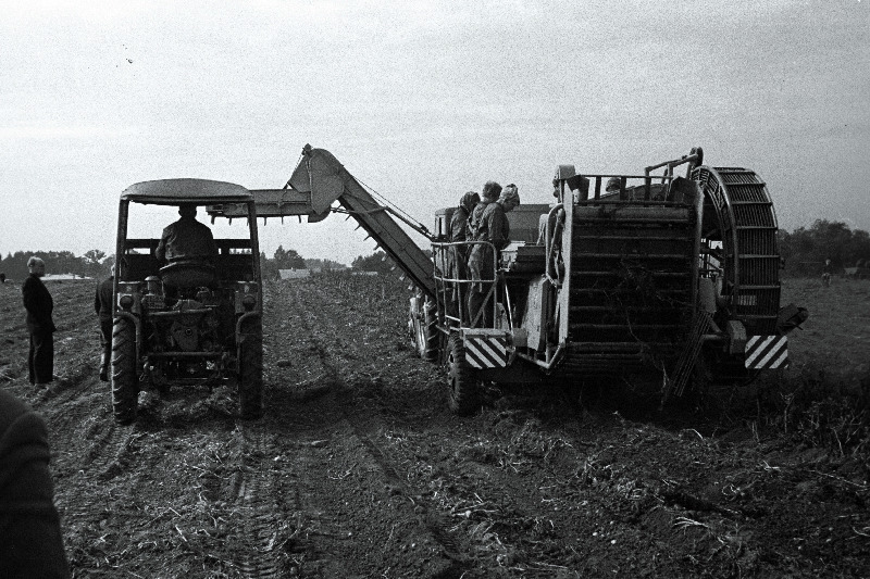 Kartulikombain Gagarini- nimelises näidissovhoostehnikumis korraldatud kartulikasvatamise vabariikliku õppepäeva näitusel.