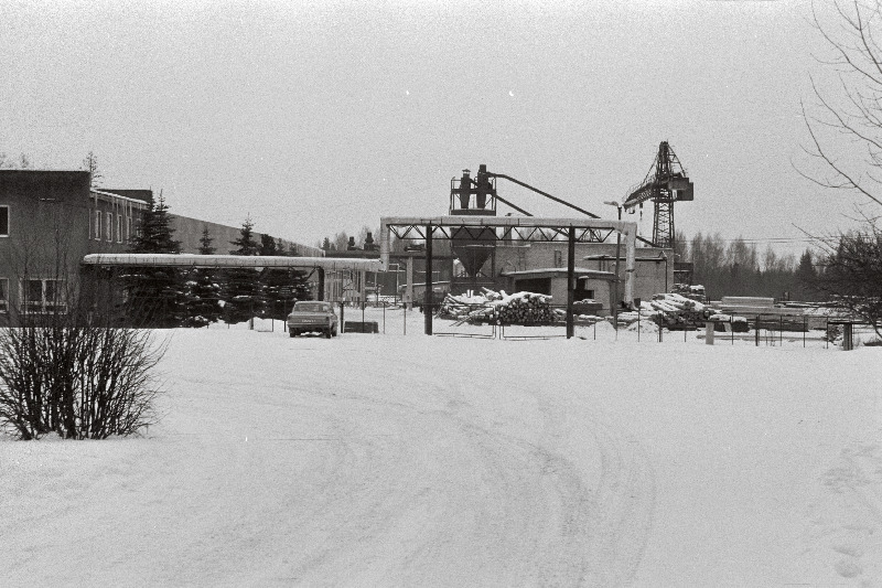 Suure-Jaani metsapunkt, metsas.