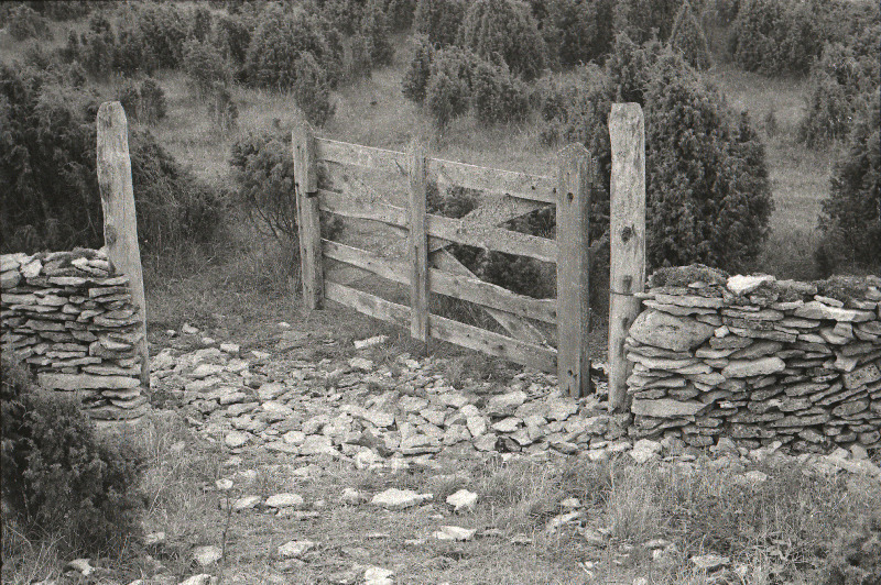 Vana kiviaia värav Saaremaal.