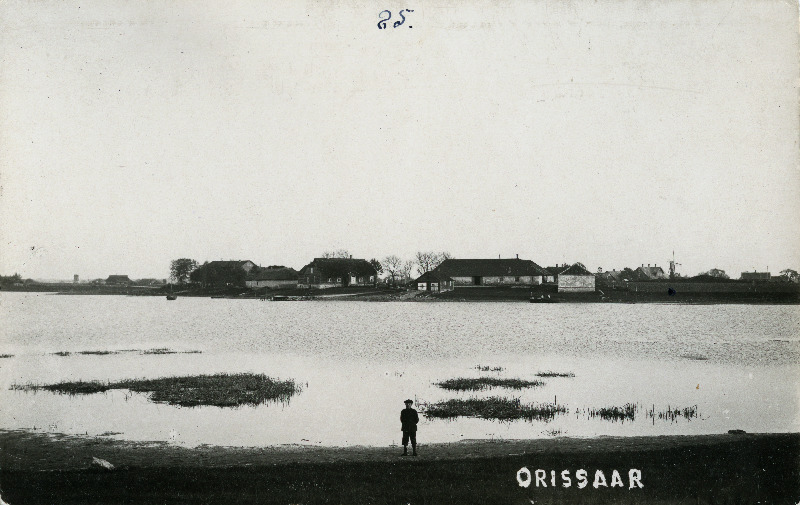 Orissaare vaade.