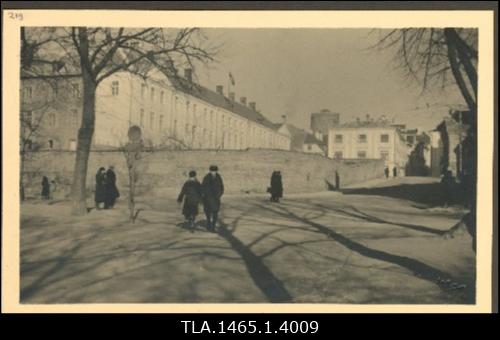 Toompea lossi aed. Müür.