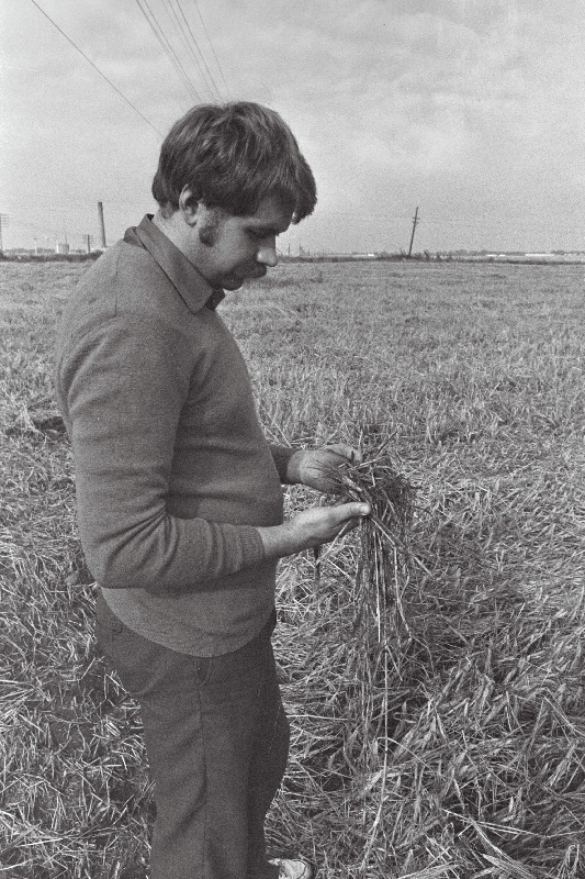 Harju rajooni Kuusalu kolhoosi vanem-agronoom külvigrupi juht Valvo Vunk.