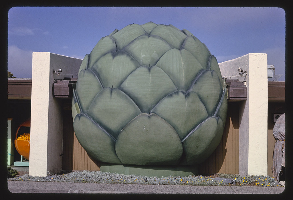 Giant artichoke, Horizontal, Route 183., Castroville, California (LOC)