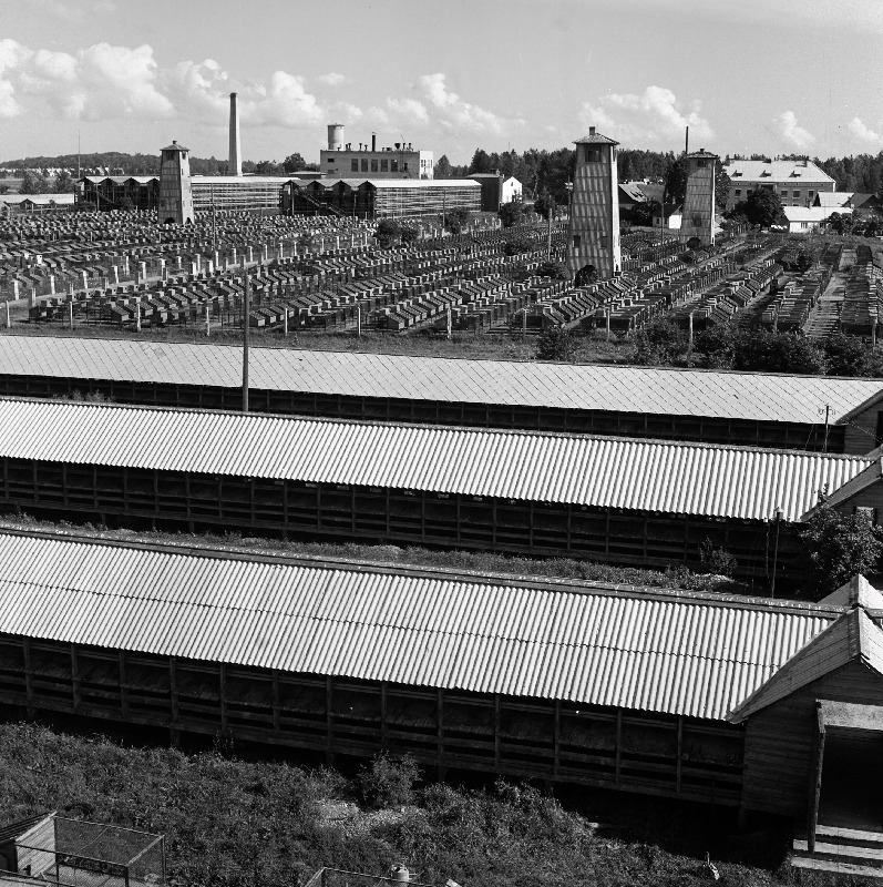 Tõrma karusloomakasvatuse sovhoos.