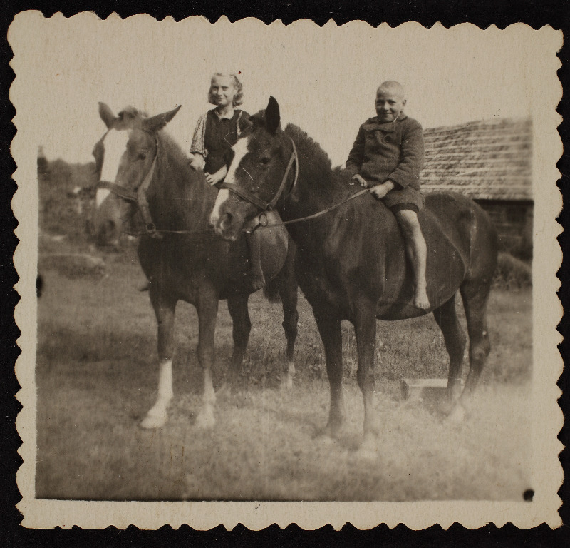 Tundmatud poiss ja tüdruk hobuste seljas istumas