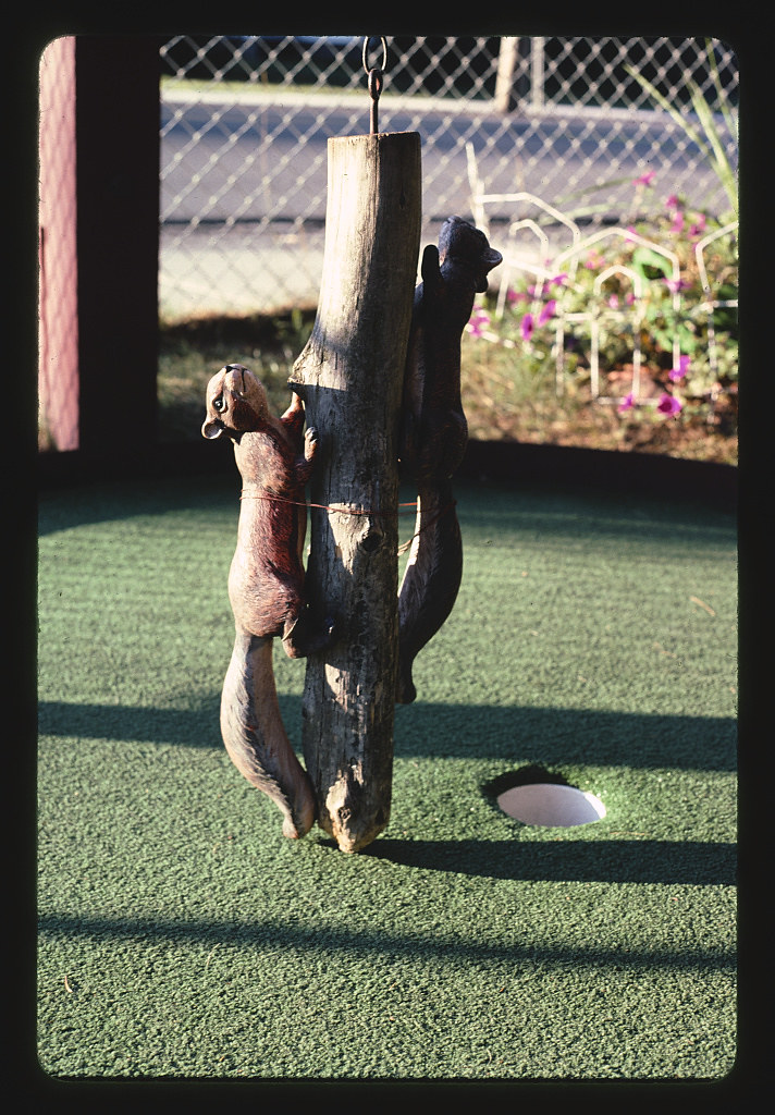 Chipmunks 2, Nutty-Putty, Old Forge, New York (LOC)