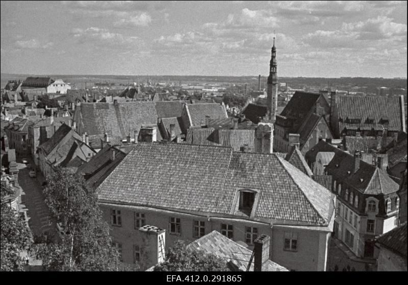 Vanalinna panoraam Toompealt. (suvine päev).