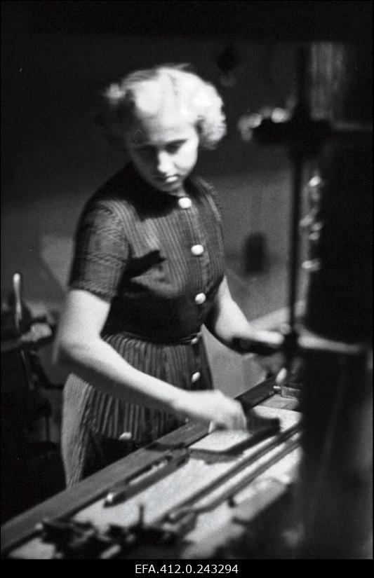 "Punase Koidu" kangur Aino Kõrtsini