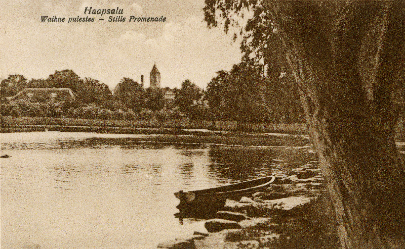 Vaade Vaiksele puiesteele.