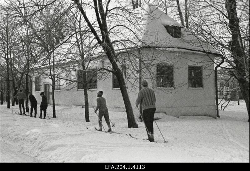 Vaade Peeter I majale Kadriorus.
