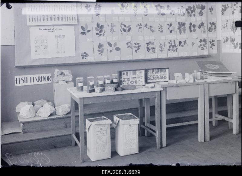 Eksponaate Paide koolide näituselt.