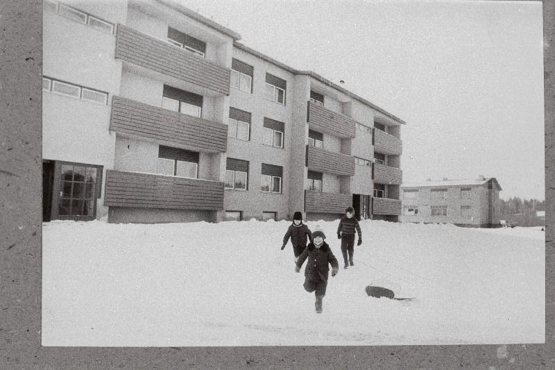 Elamud Jõgeva rajooni Saare kolhoosis.