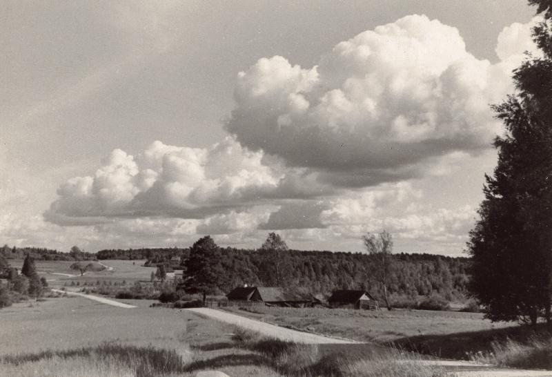 Paistu maastik, maantee Holstre suunas.