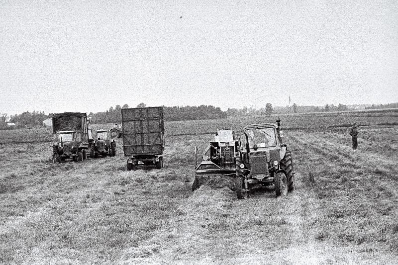 Sööda varumine Rakvere rajooni Viru kolhoosis.