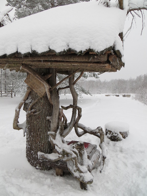 Mustoja Kõrtsitalu. Mustoja.