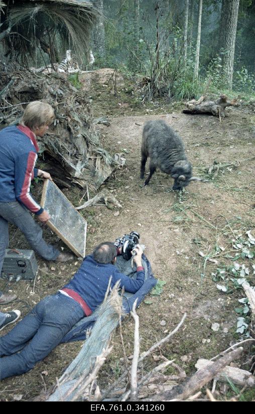 Stuudio "Tallinnfilm" muusikaline lastefilm "Nukitsamees" filmivõtted.