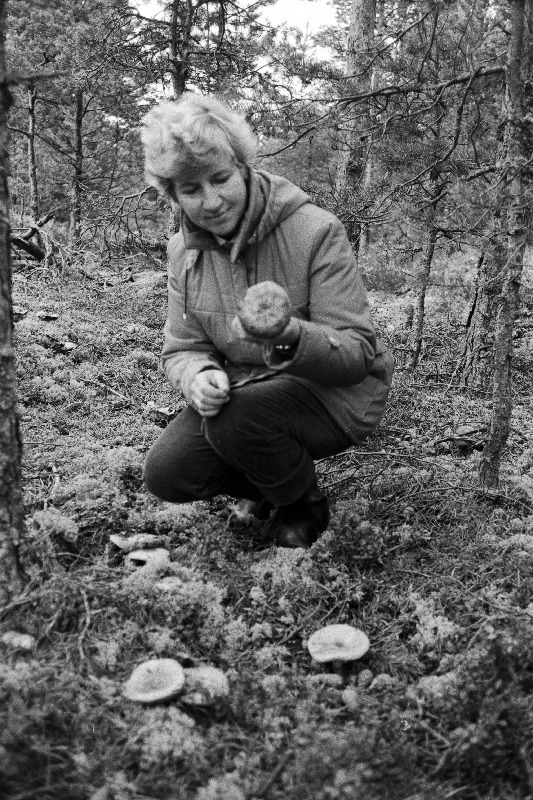 Läanemaa metsamajandi Nõva katsemetskonna kõrvalkasutusala meister Silja Silver määrab seente levikut.