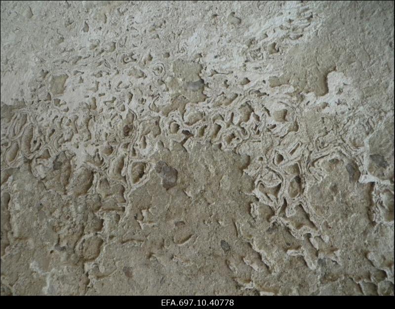 Pöide kiriku restaureerimistööd. Ajalooline viimistluskiht seinal.