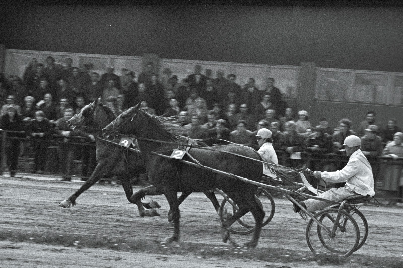 Traavivõistlused Tallinna Hipodroomil.