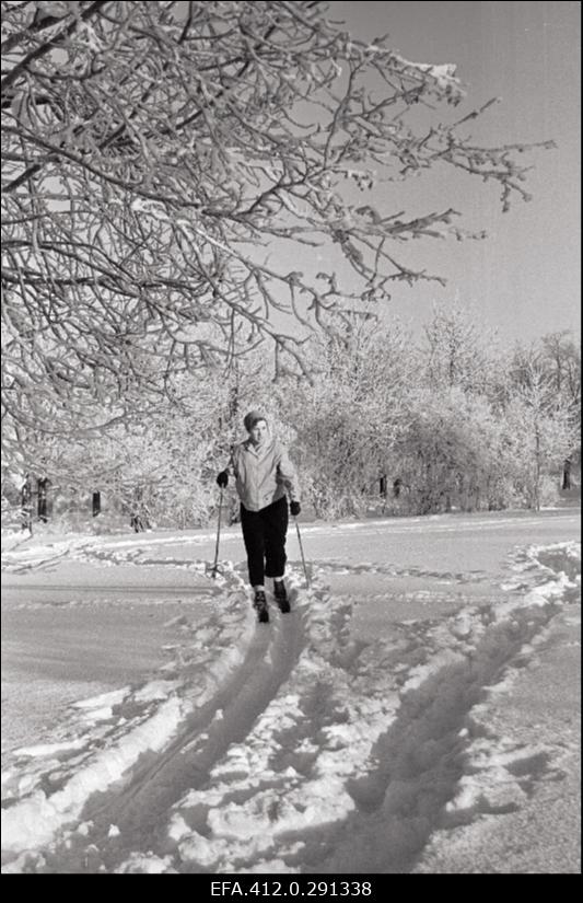 Talvine härmas Tallinn.
