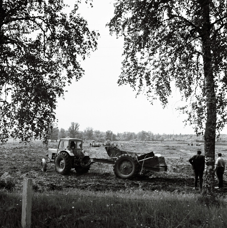 Põllutööd Vinni näidissovhoostehnikumis.