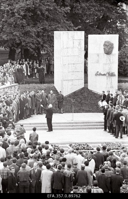 Kirjanik E. Vilde mälestusmärgi avamine Harju tänaval.
