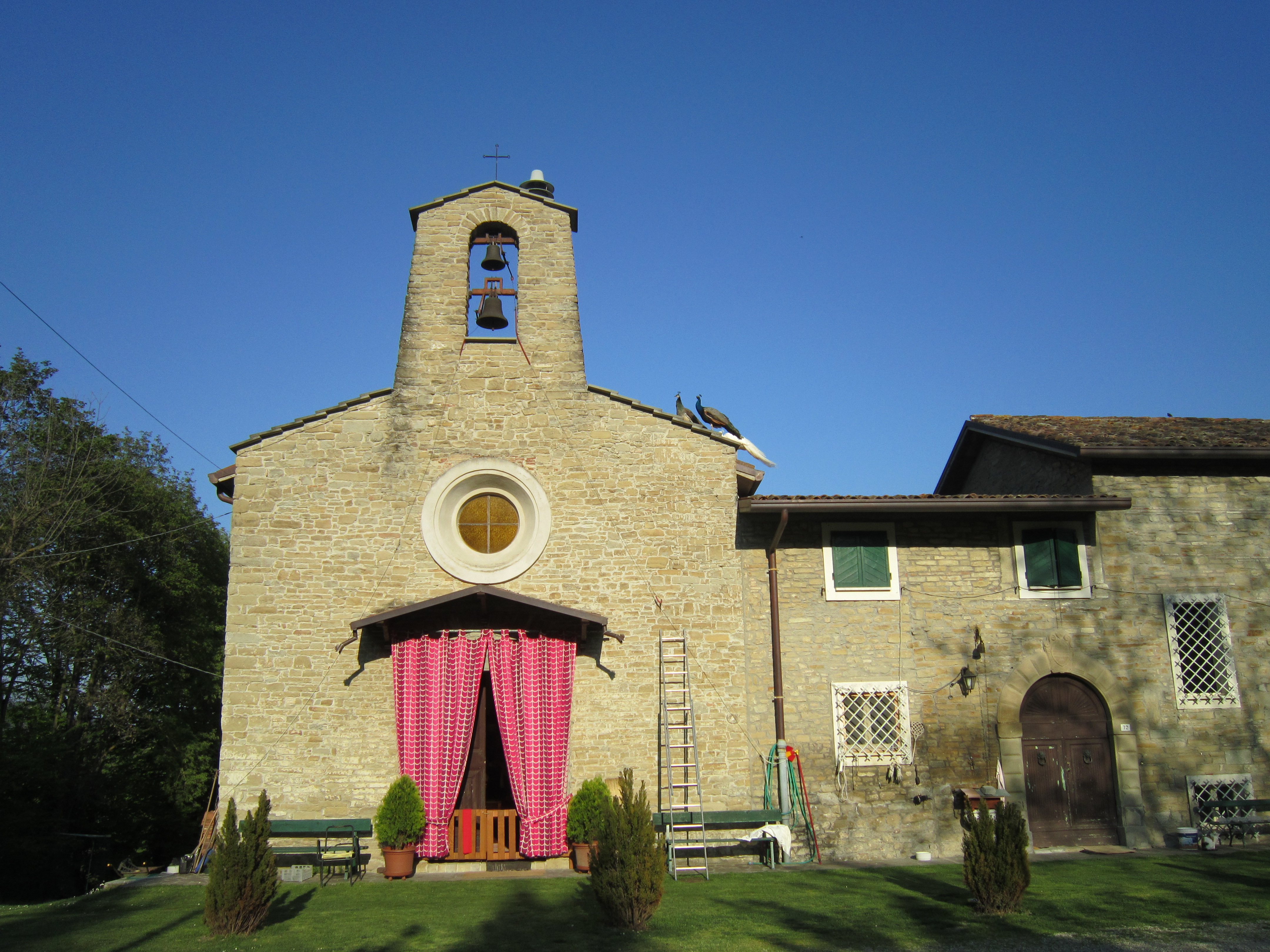 Chiesa di Santa Marina in Particeto - lang