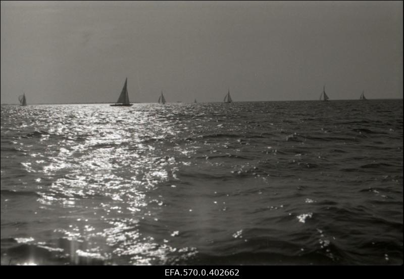 Jahid Tallinna lahel.