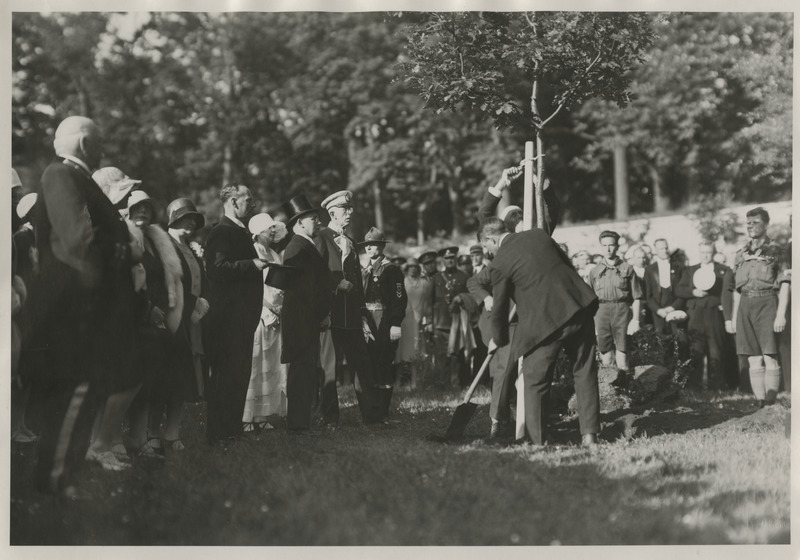 Rootsi kuningas Gustav V visiidil Eestis 27.-29.06.1929, külaskäigu mälestuseks tamme istutamine Kadrioru lossi aias 28.06.1929 õhtul