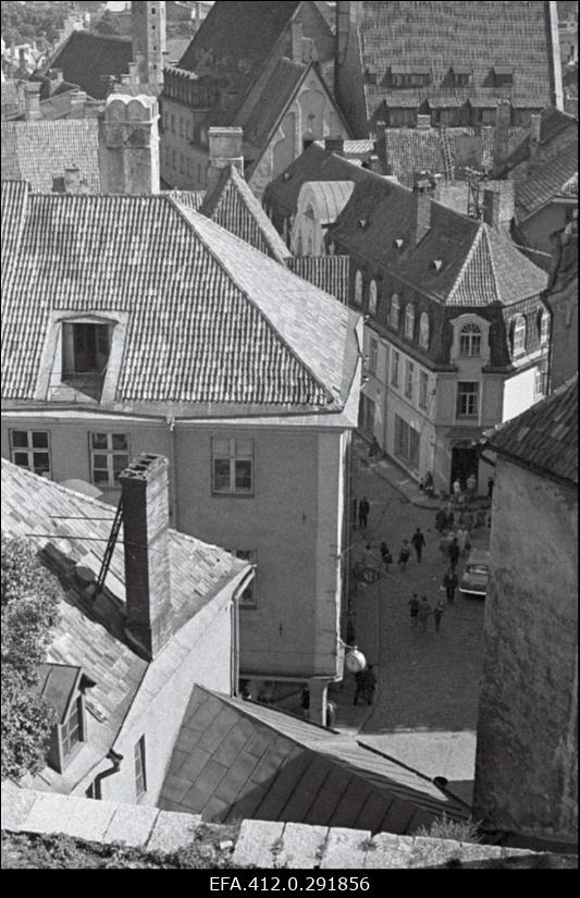 Vanalinna panoraam Toompealt. (suvine päev).