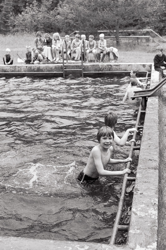 Valgemetsa pioneerilaager