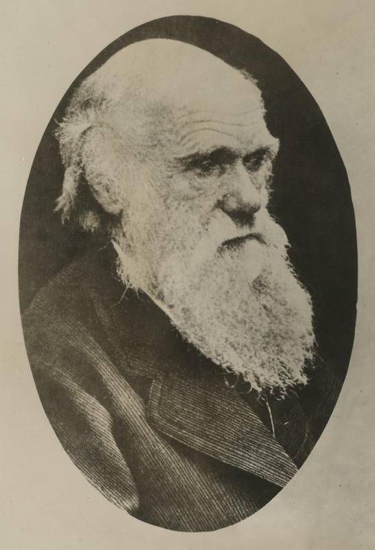 Charles Robert Darwin, inglise looduseuurija, portreefoto