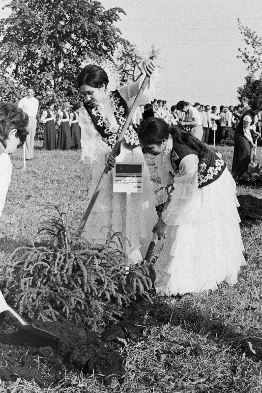 Üleliidulisest koorifestivalist Tallinn - 72 osavõtnud kooride esindajad istutavad kuuske rajatavas sõpruspargis Tallinna Lauluväljaku lähedal.