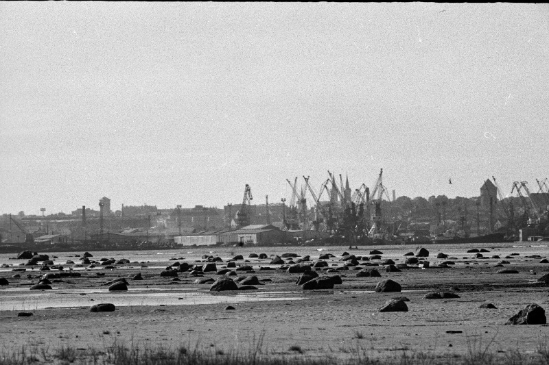 Tallinna panoraam (võetud Piritalt) ja valge reisijate laev saabub Tallinna.