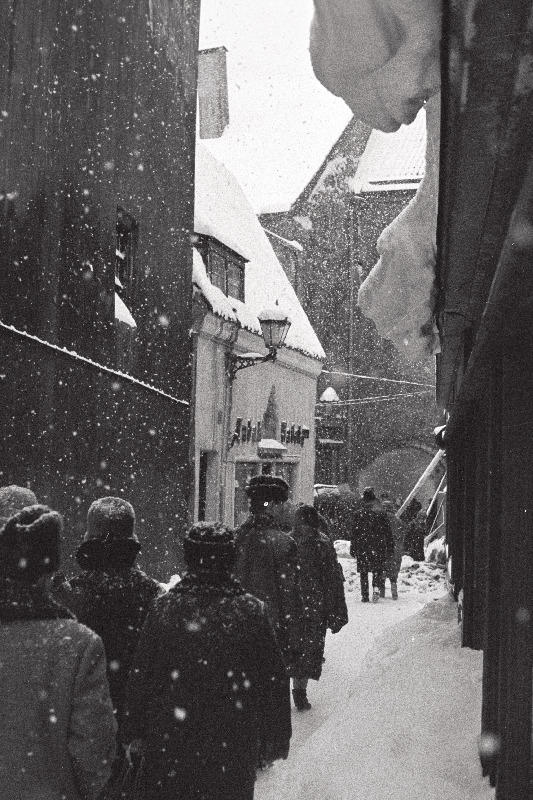 Tiheda lumesajuga Tallinna tänavail.