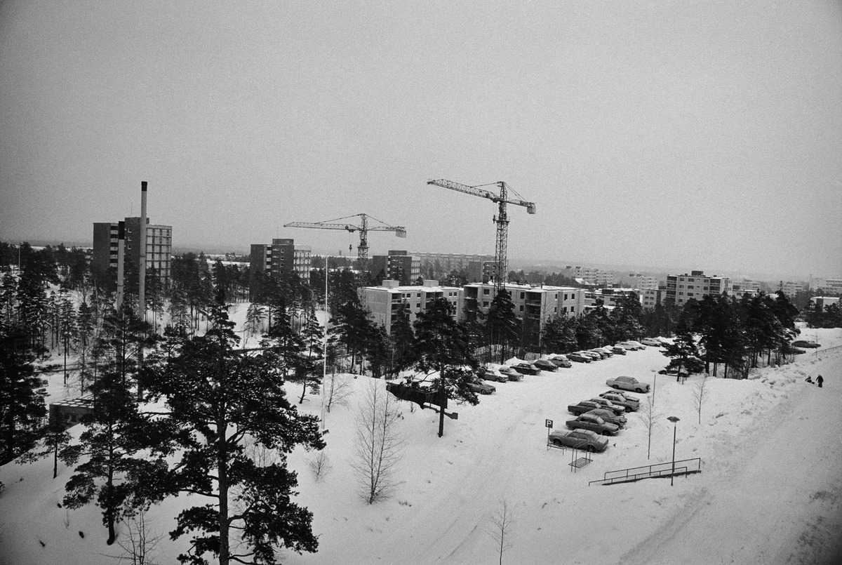 Etualalla Rapakiventie 10 Pihlajamäessä ja taustalla nostokurkia