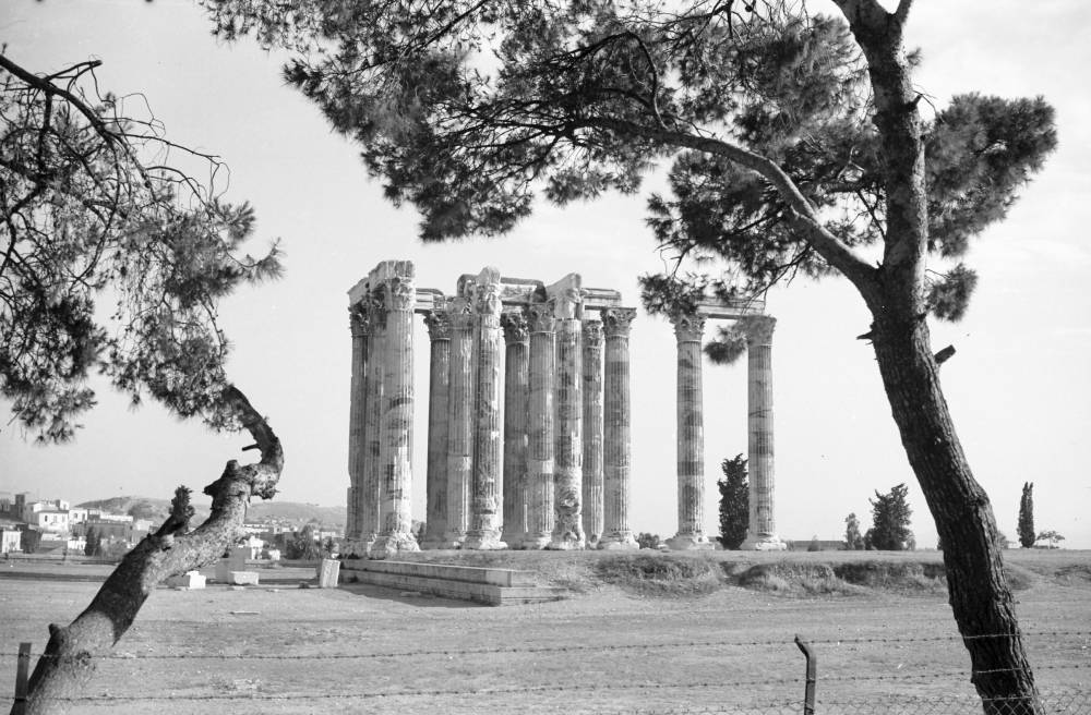 Athen: Akropolis, Säulen des Zeus-Tempels, Vordergrund Bäume -