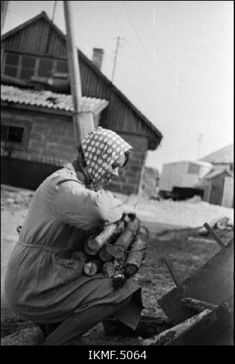 Prangli saar 1970. a maikuus, kalurinaine puid suitsutsehhi viimas