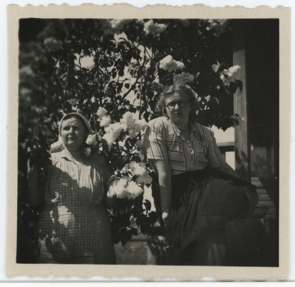 Tuvastamata naisterahvad sirelipõõsa varjus