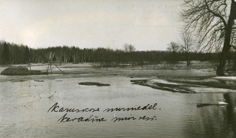 Kevadine suurvesi Karuskose nurmedel Vastemõisas, (tellimustöö ajakirjanduskontorile "Uudis").