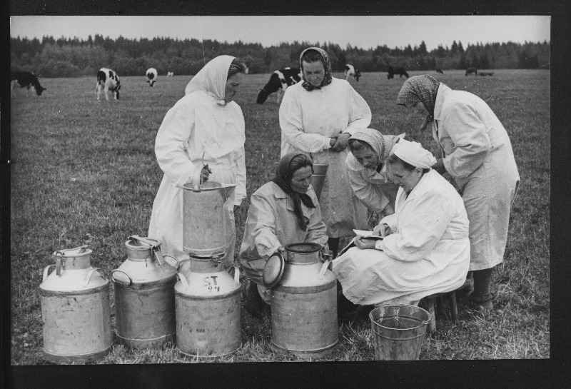 Paide rajooni Stalinliku Tee kolhoosi lüpsjad-karjatalitajad E. Alas, M. Viibur, M. Täht, E. Sootna, I. Sootna ja farmijuhataja L. Klasing (paremalt teine) tegemas kokkuvõtteid päeva töötulemustest.
