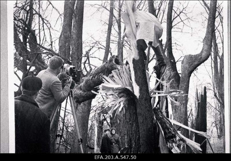 Tallinnfilmi lühimängufilm/tudengifilm "Roosa kübar".