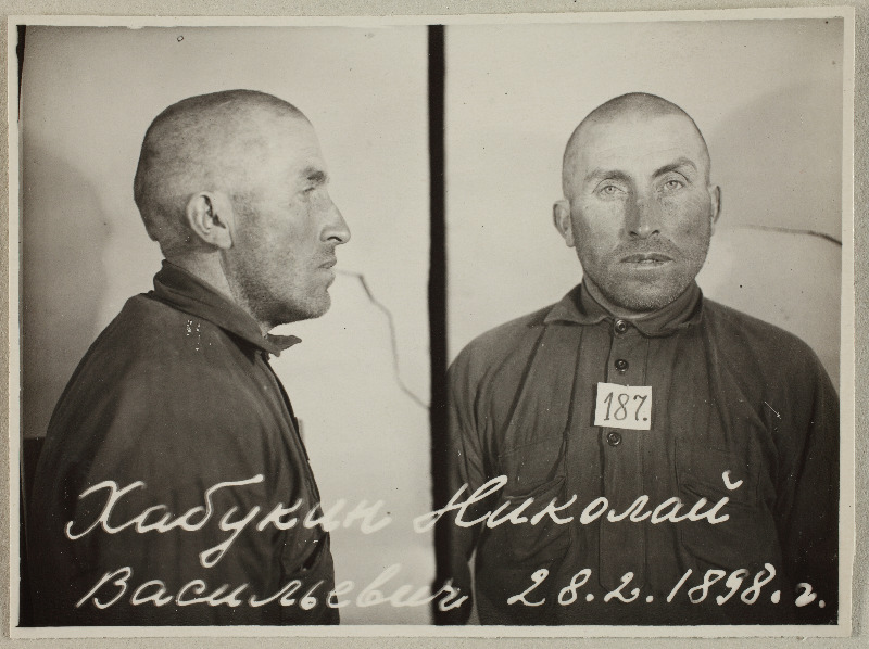 Nikolai Habukini arestifoto