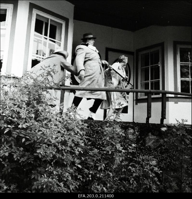 Kaader Tallinnfilmi mängufilmist "Sügis". Maali osas Anne Reemann, Kiire osas Margus Lepa, Juuli osas Liina Tennosaar.