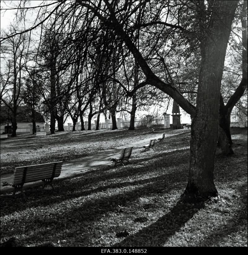 Vaade Palmse mõisa parki.