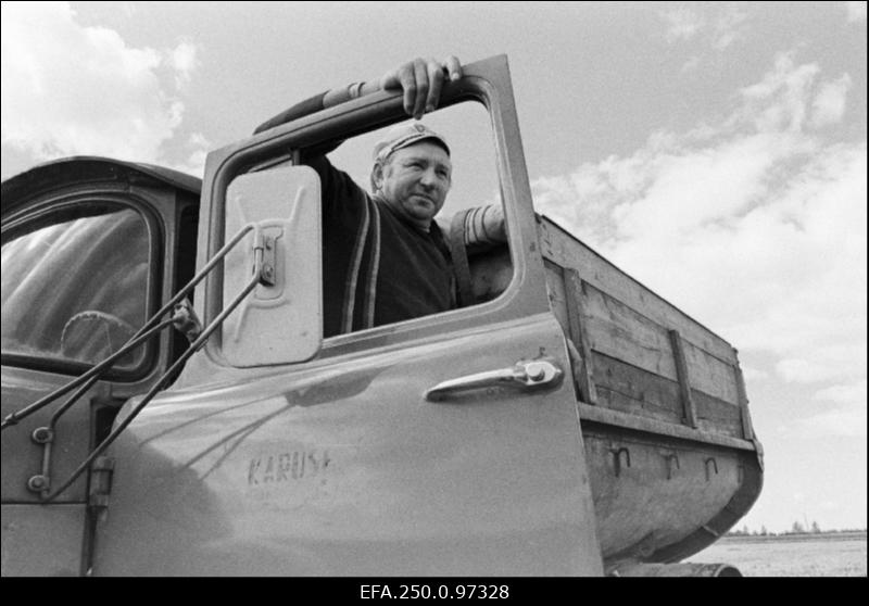 Karuse kolhoosi autojuht U. Õismaa viljaveol.