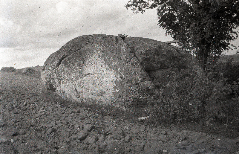 Rändrahn Rõngu talu maa peal. Olustvere vald.