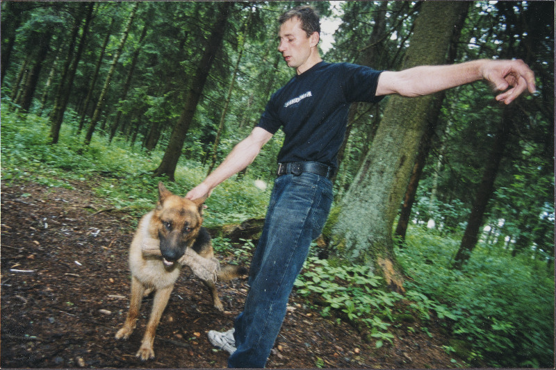 Teenistuskoer treeningul.