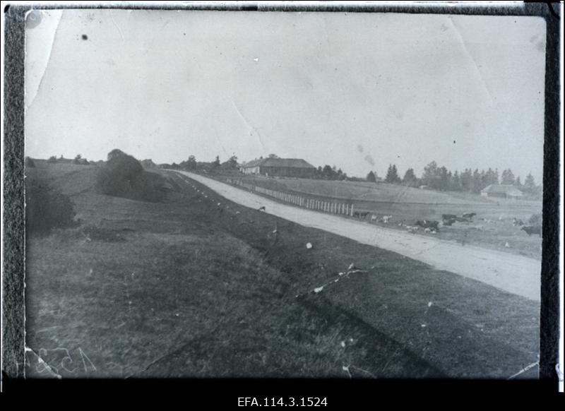 Vabadussõda. Riia-Pihkva kivitee [Kastelhofi (Kastena) postijaama juures].