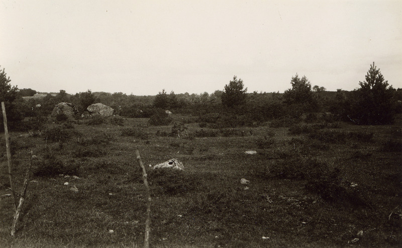 Kadakane maastik Kadapiku küla lähedal. Taebla vald.